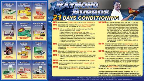LDI Endorser's 31 Days Conditioning Program .